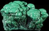 Polished Malachite Brain - Congo #63353-1